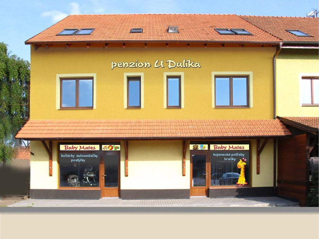 Penzion U Dulika Veselí nad Moravou المظهر الخارجي الصورة